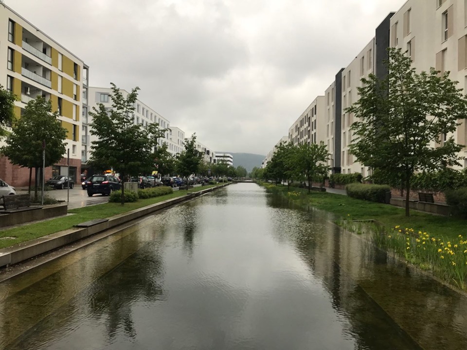 60632423 10156382788268861 5473994891732189184 n