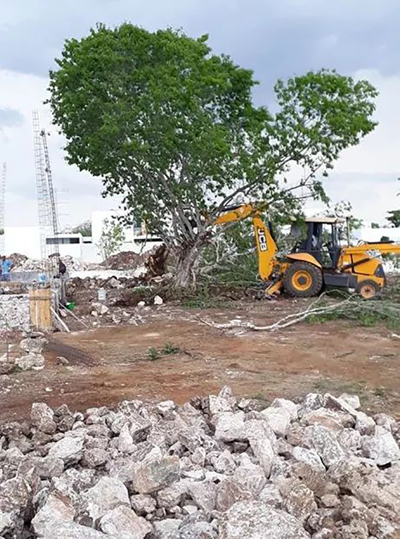 WhatsApp Image 2019 05 17 at 5.40.25 PM