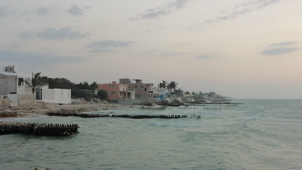 WhatsApp Image 2019 05 25 at 7.33.02 PM