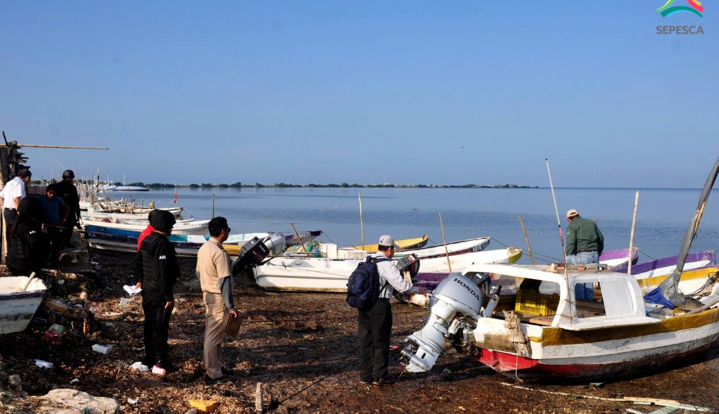 Pescadores de campeche 1045x602