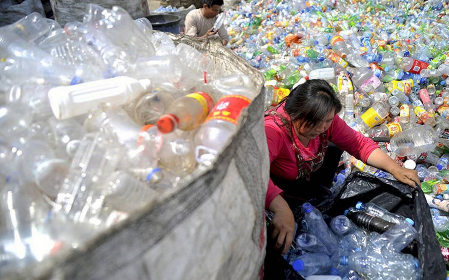 1500 ae672cda58301c8a73bbb9730c0dbc51