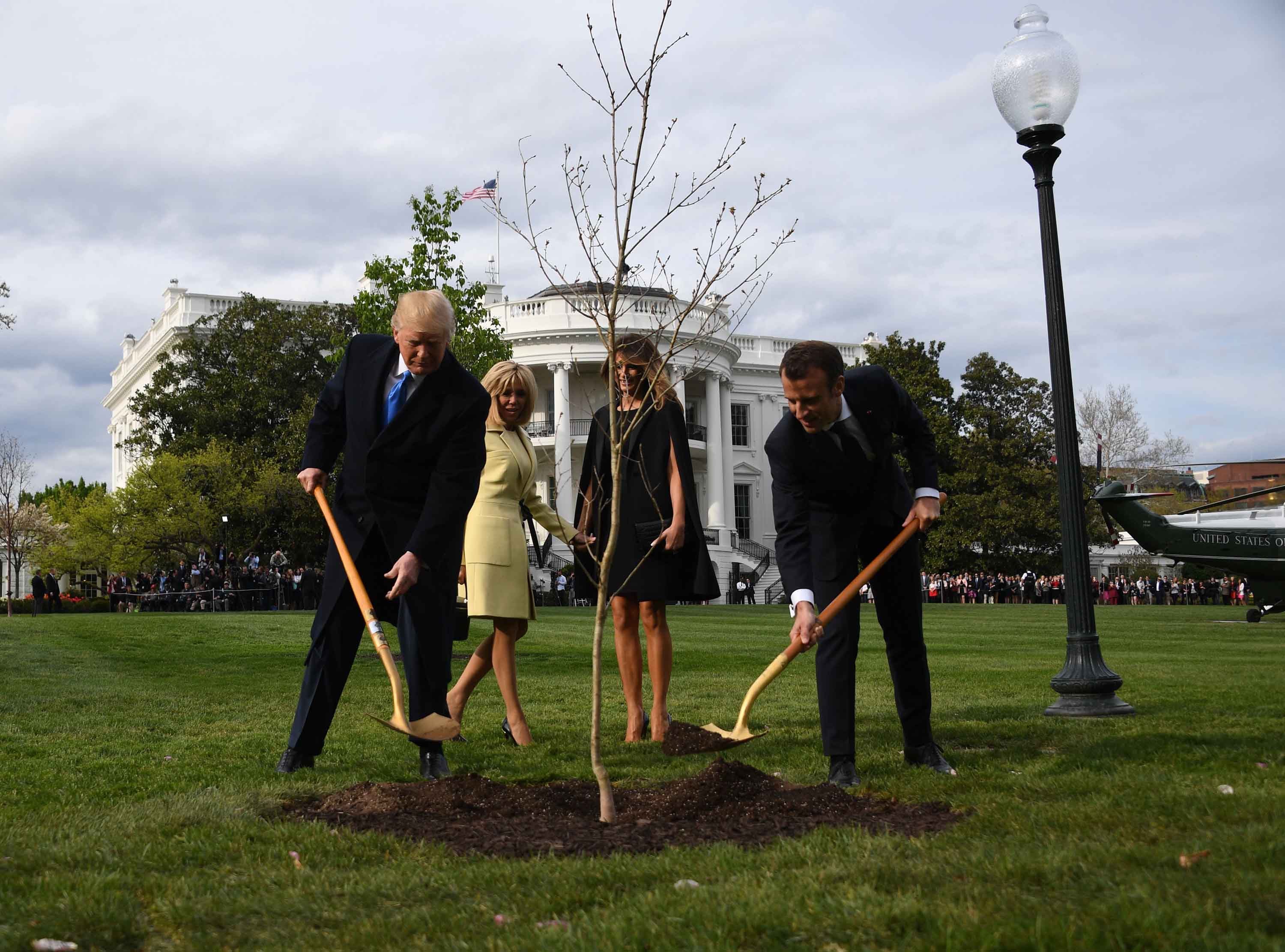 180430115427 02 trump macron white house tree