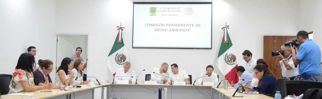 20bdf15c 42cc 429d 9944 5d666486fbbd