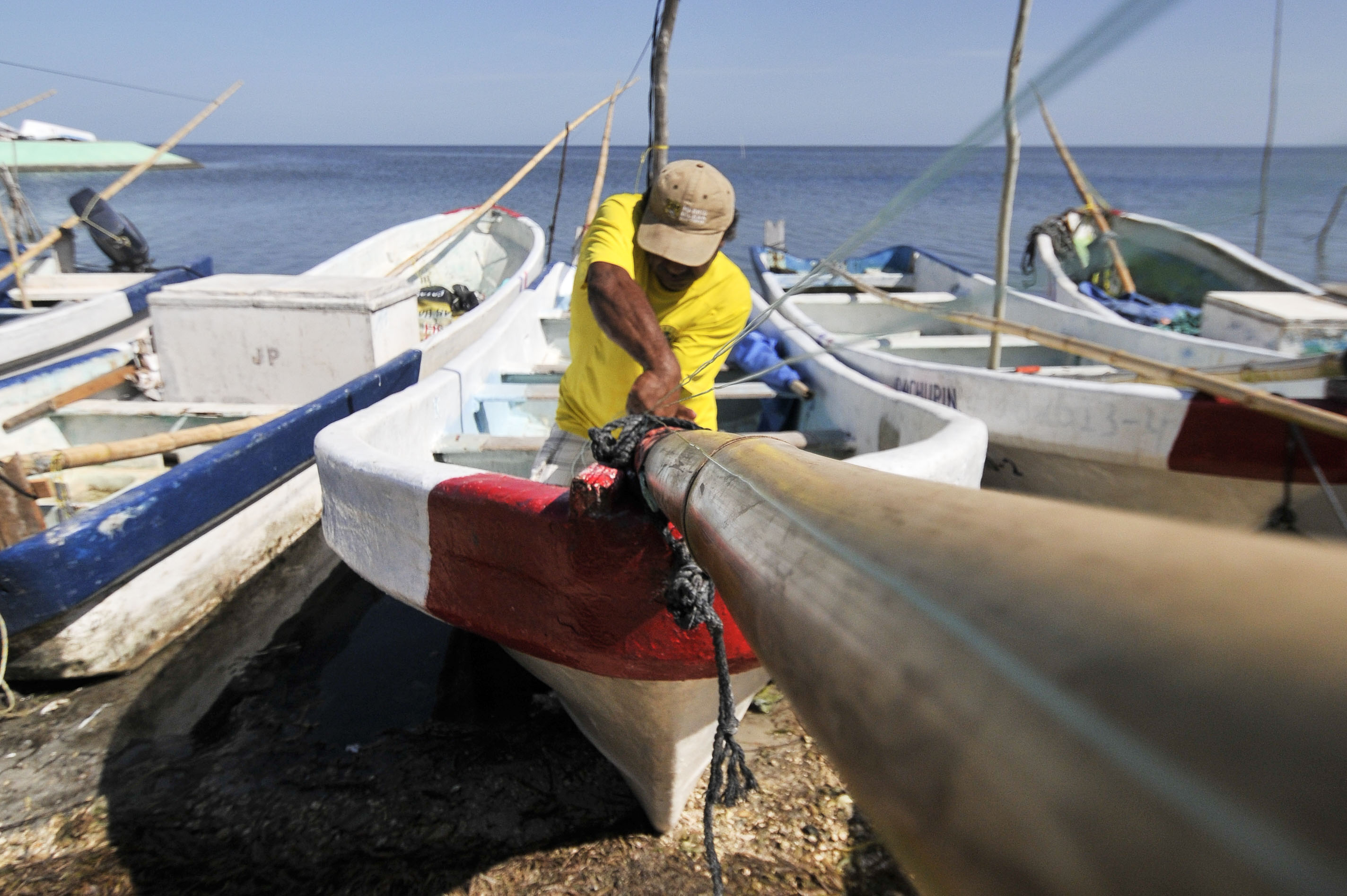29 de julio de Pesca de Pulpo