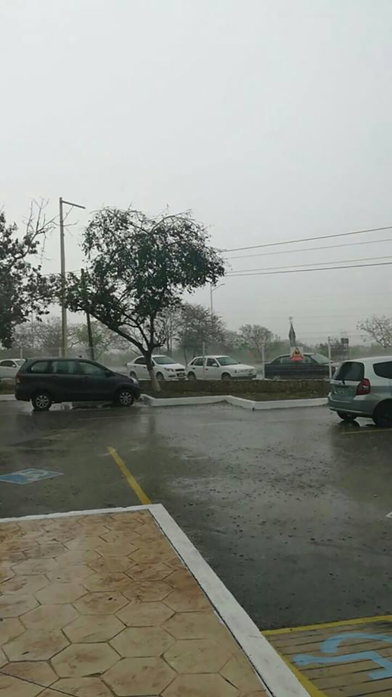 31183577 1764941830228942 585994704010226243 n