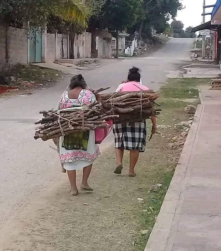 53679362 2262771477303789 4445460613589630976 n