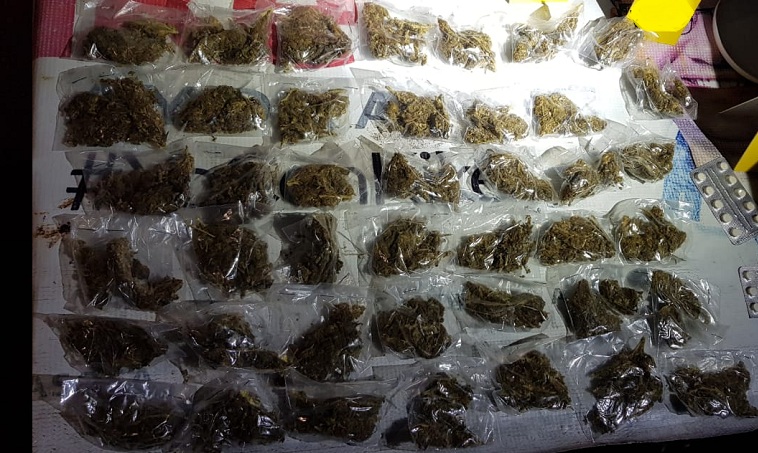 CATEO VALLADOLID (1)