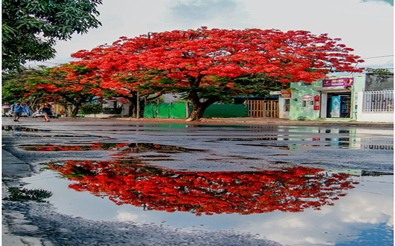 WhatsApp Image 2019 05 31 at 17.34.50