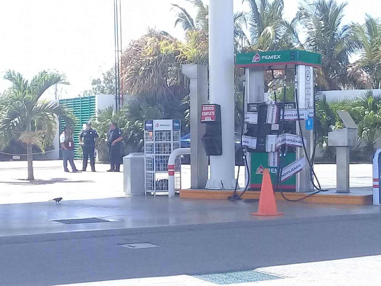 WhatsApp Image 2019 06 06 at 15.24.20