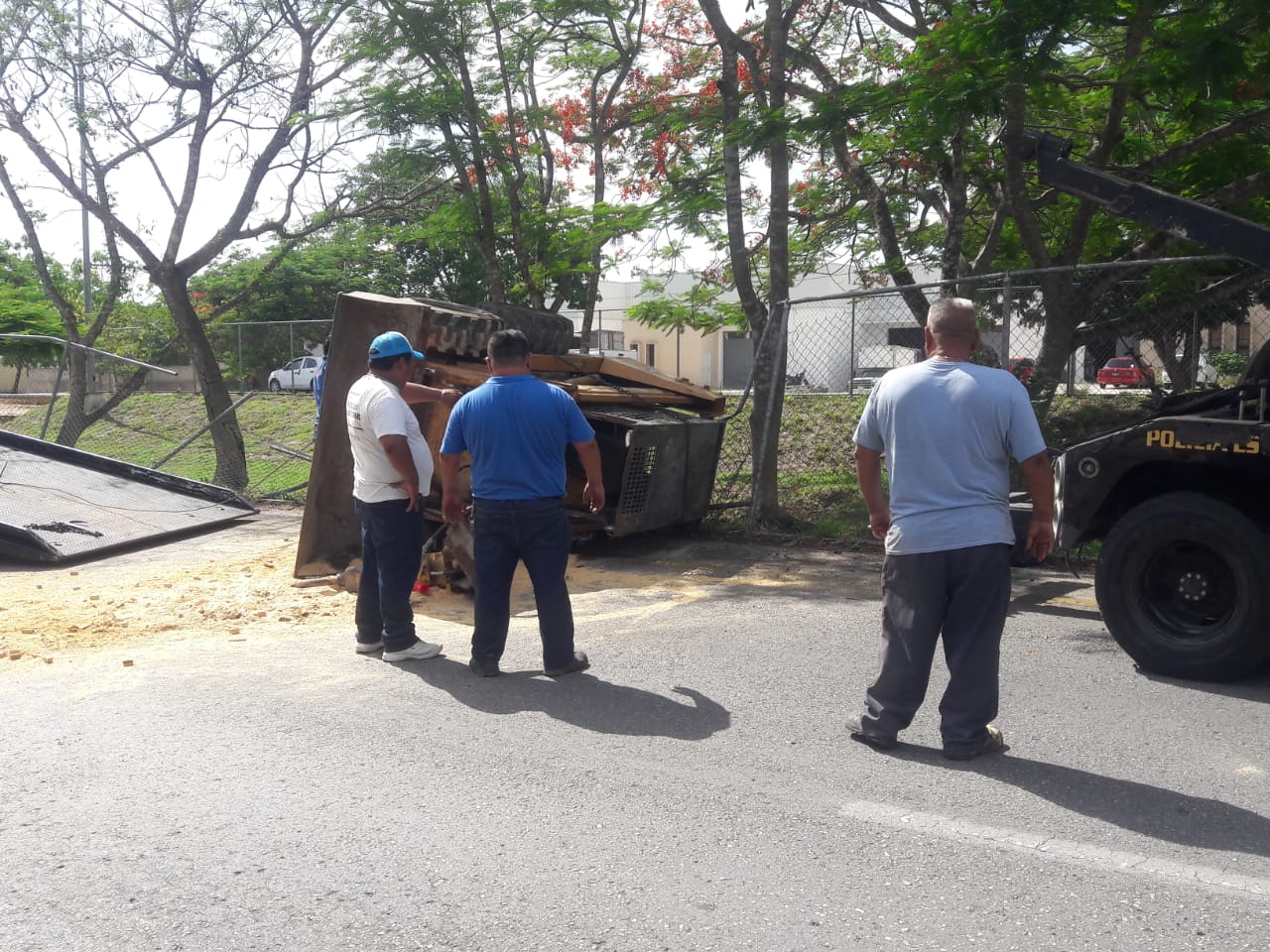 WhatsApp Image 2019 06 12 at 14.18.47