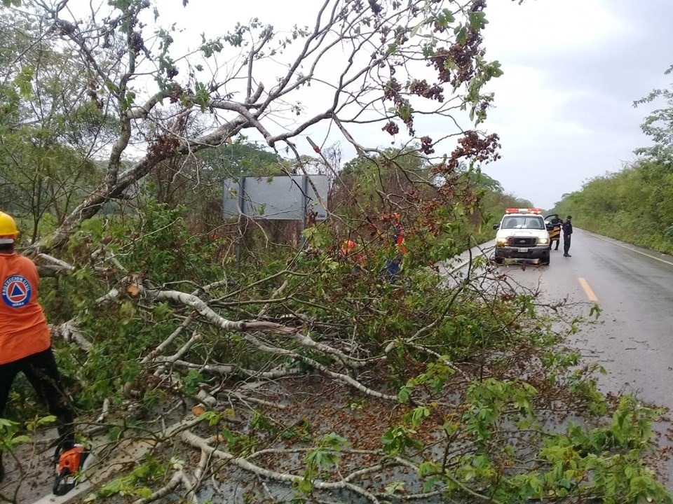 WhatsApp Image 2019 06 14 at 14.30.53