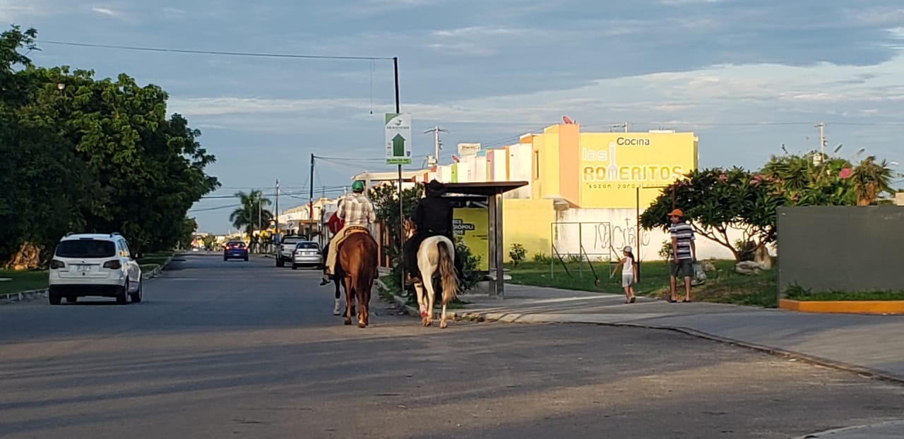 WhatsApp Image 2019 06 16 at 19.20.32