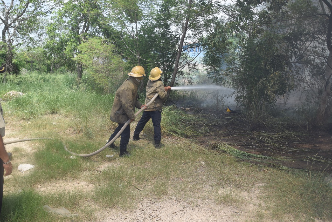 WhatsApp Image 2019 06 25 at 15.30.09