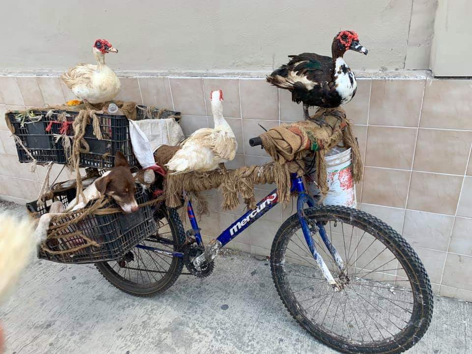 WhatsApp Image 2019 06 29 at 17.26.57