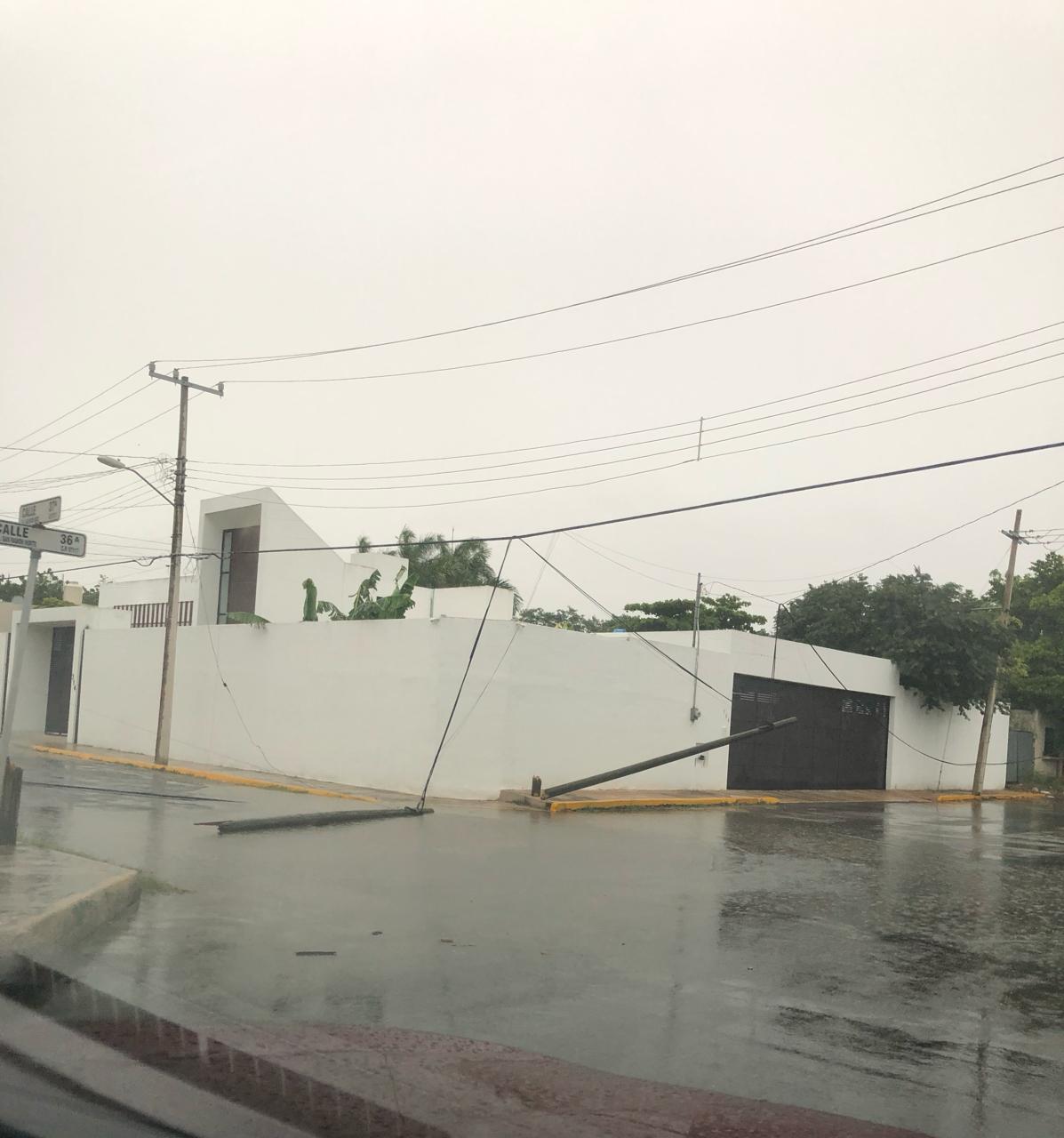 WhatsApp Image 2019 06 29 at 18.31.26