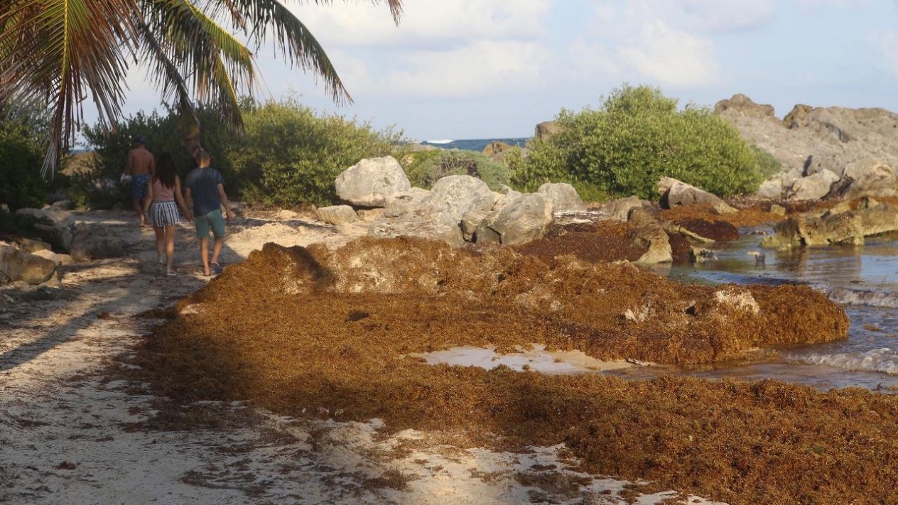 Daad8d50941556831370 standard desktop medium retina