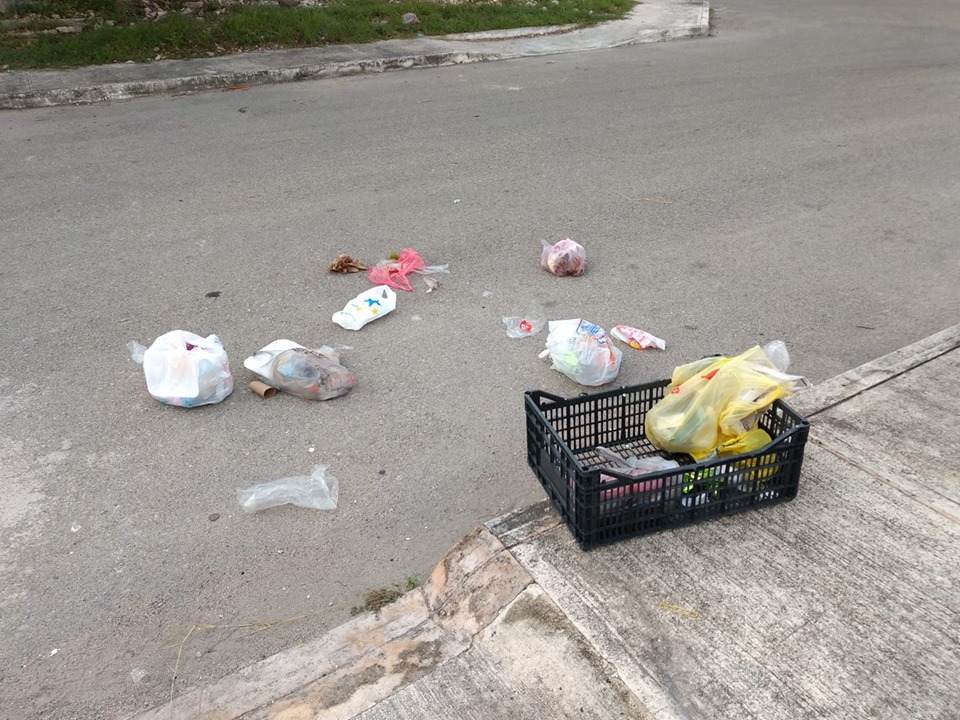 66606691 2510428839185004 4939753504739688448 n