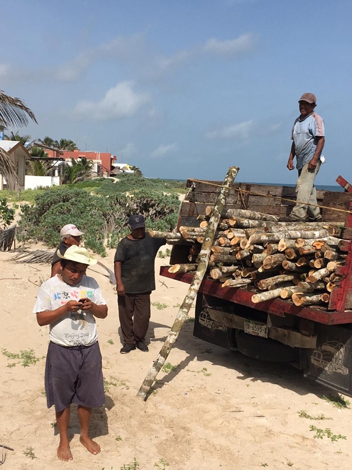 67210734 2353055454741859 8399533743965995008 n