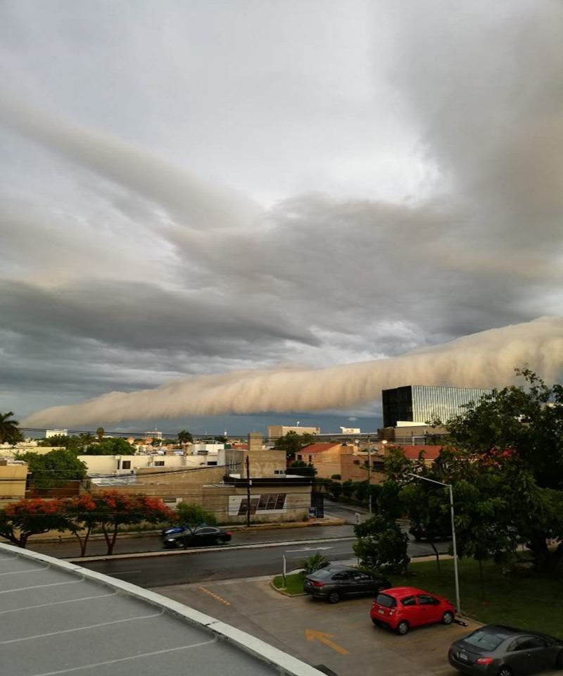 67272793 2822826984414071 2960747194535116800 n