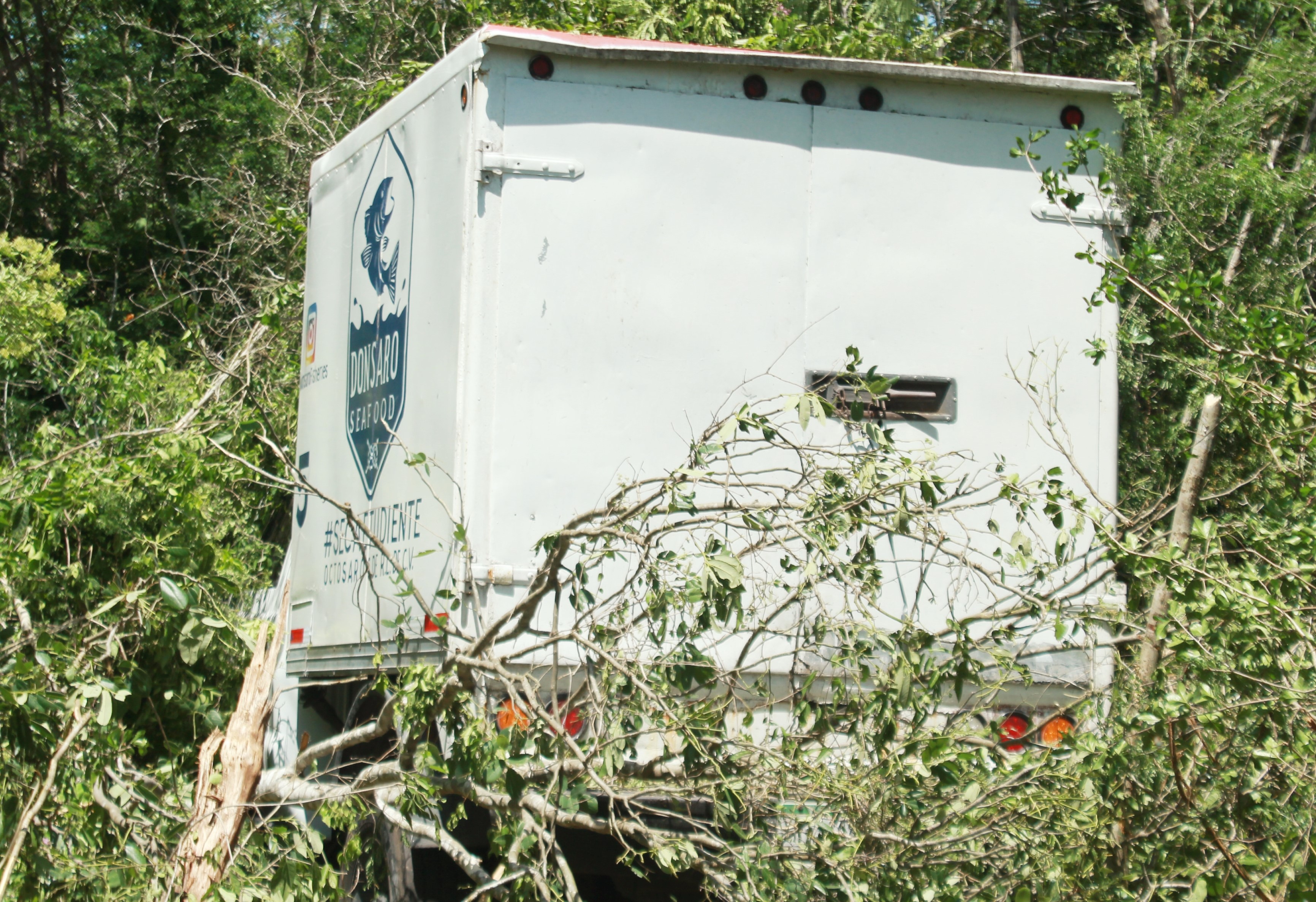 Don Saurio comió monte