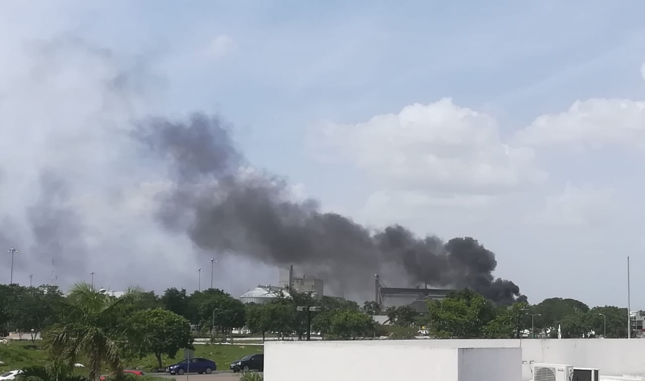 IMG 20190712 WA0007.jpg