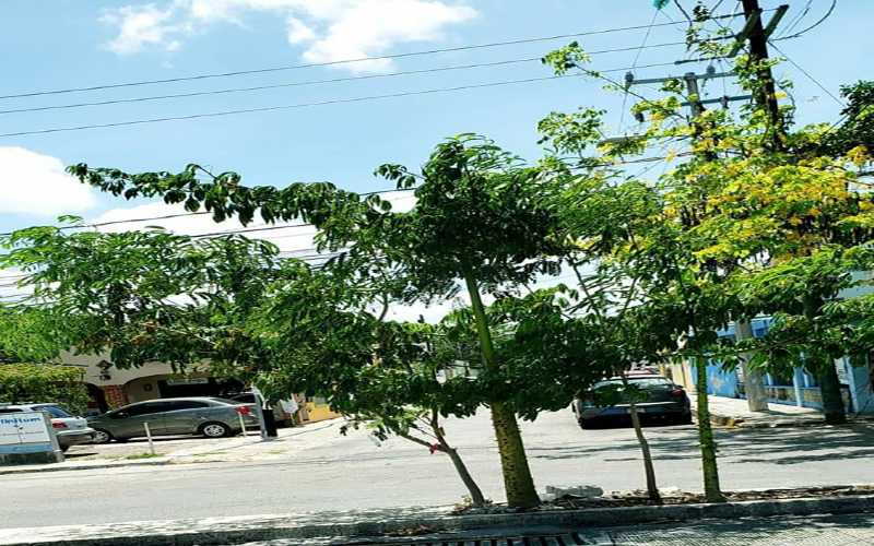 WhatsApp Image 2019 06 18 at 13.04.40