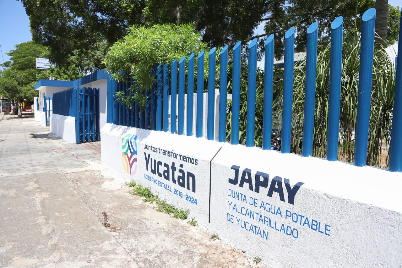 WhatsApp Image 2019 06 28 at 12.03.46