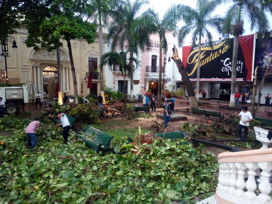 WhatsApp Image 2019 07 04 at 07.37.59