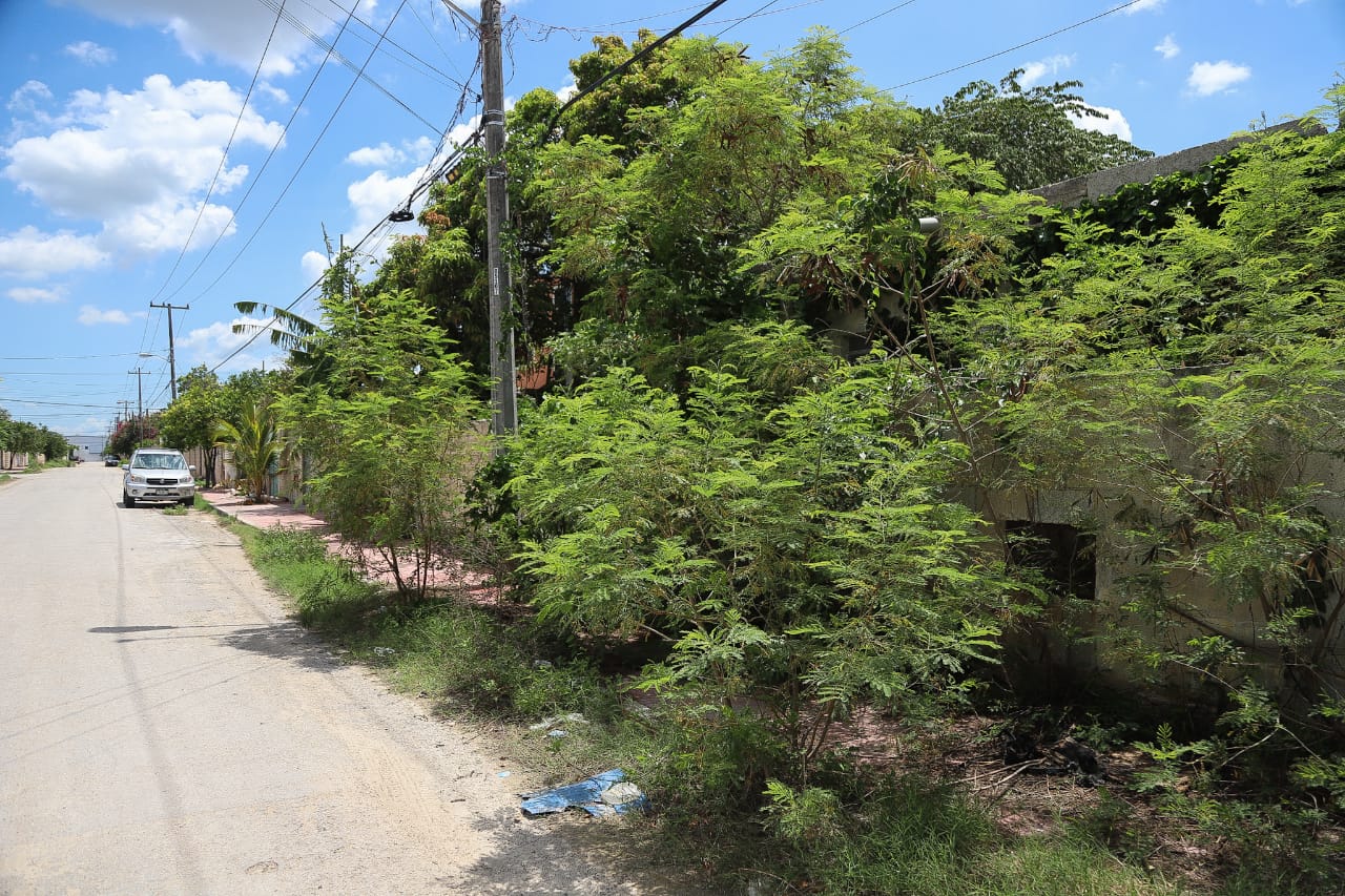 WhatsApp Image 2019 07 05 at 14.39.07