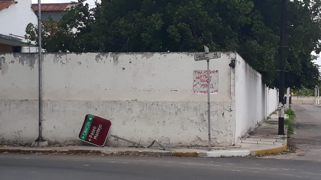 WhatsApp Image 2019 07 09 at 16.40.46