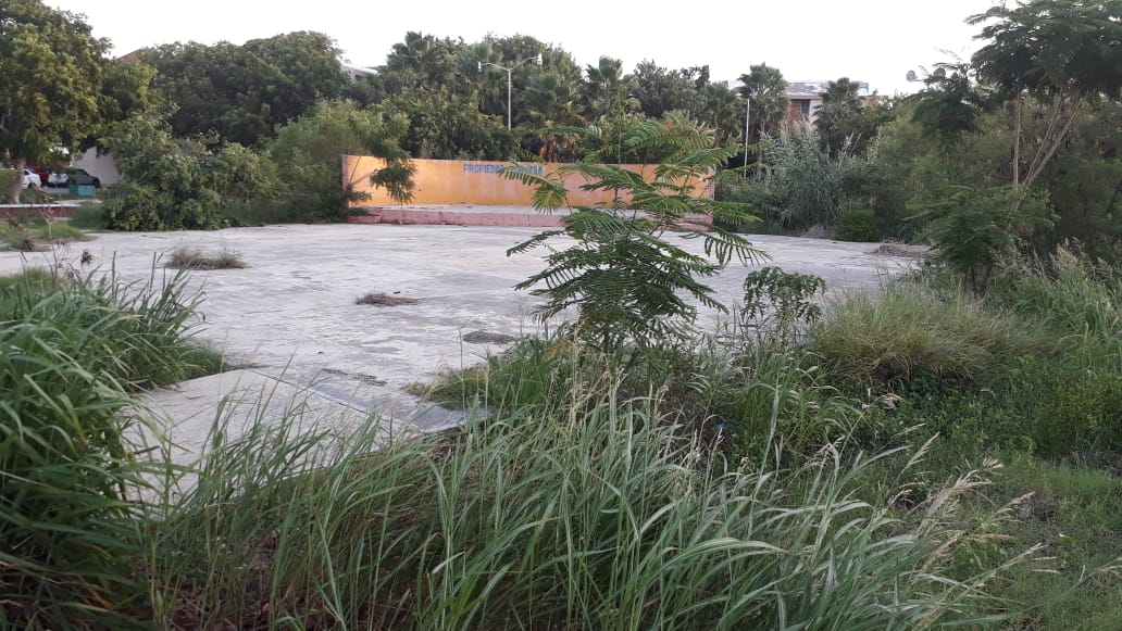 WhatsApp Image 2019 07 10 at 19.12.35