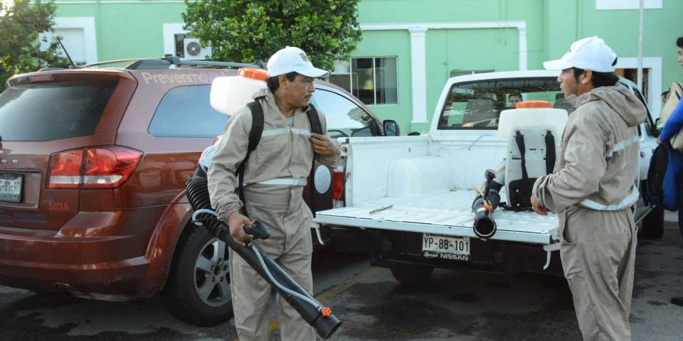 WhatsApp Image 2019 07 13 at 12.05.58