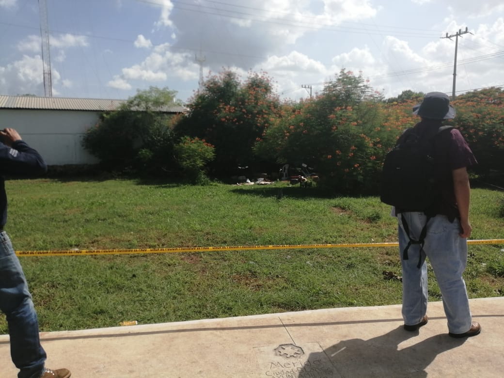 WhatsApp Image 2019 07 23 at 15.58.17