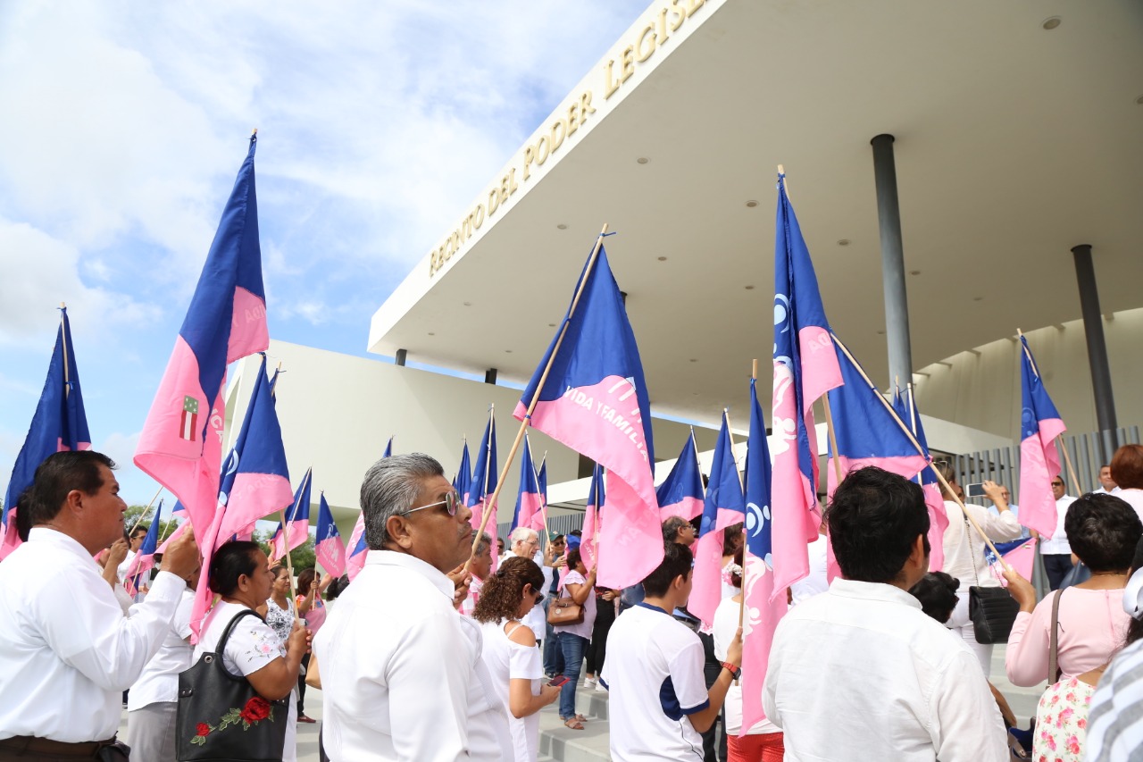 WhatsApp Image 2019 07 24 at 10.36.50