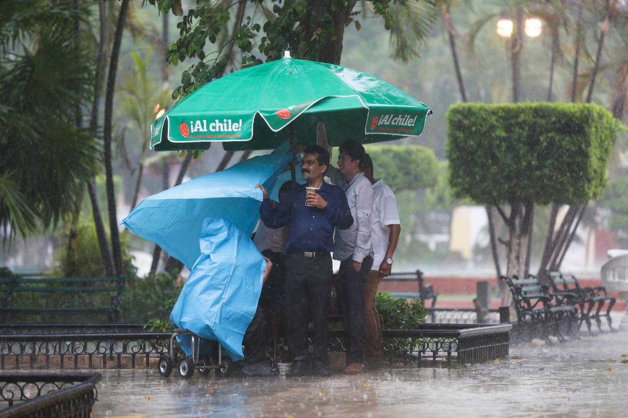 WhatsApp Image 2019 07 26 at 17.35.00