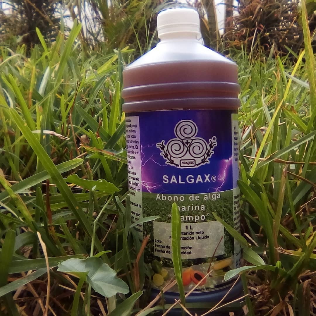 Abono de sargazo alga marina salgax campo D NQ NP 891780 MLM30580991156 052019 F