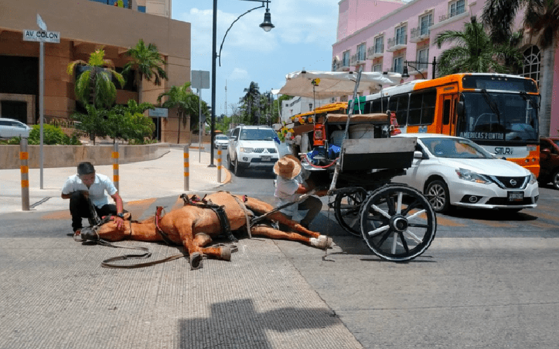 Captura de pantalla 2019 06 25 a laxsx 14 06 52.png