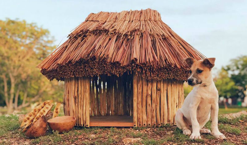 Casas mayas para perros yucatan