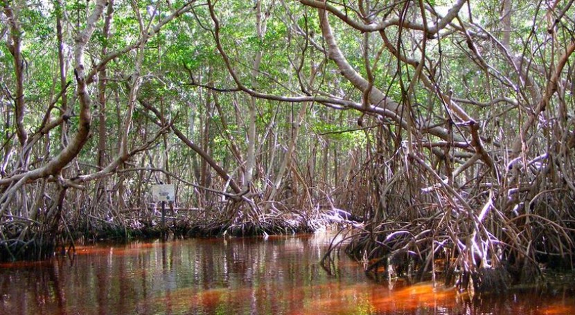 E6863ef7 772c 4a76 b4ea e7696dc90265