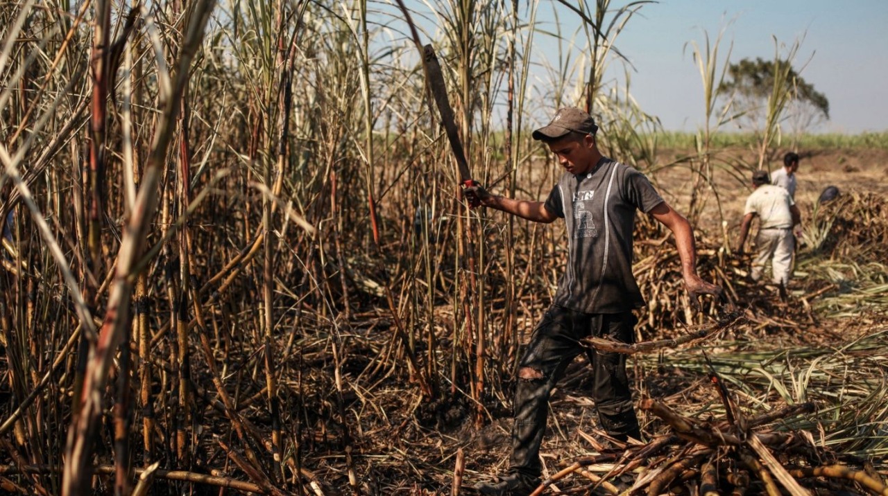 8518d491 09a1 4f91 95da a99d746f4e79