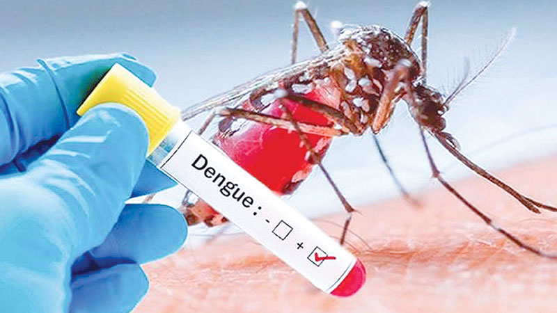 Dengue