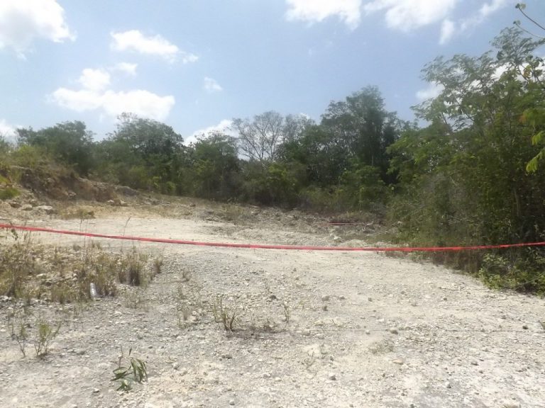 RESTOS OTHON 768x576