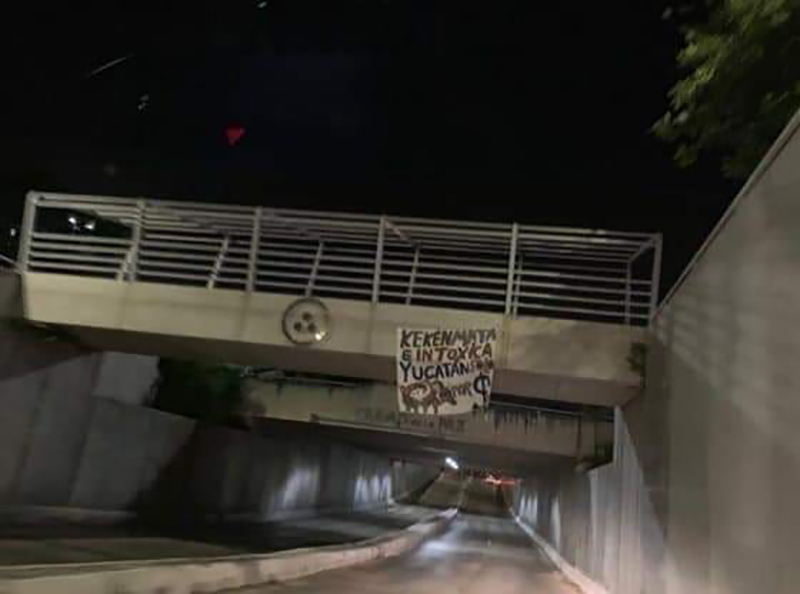 WhatsApp Image 2019 08 03 at 12.27.52