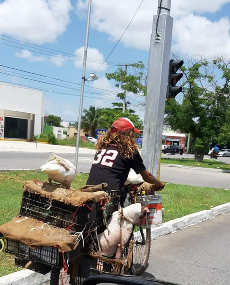 WhatsApp Image 2019 08 06 at 10.13.41