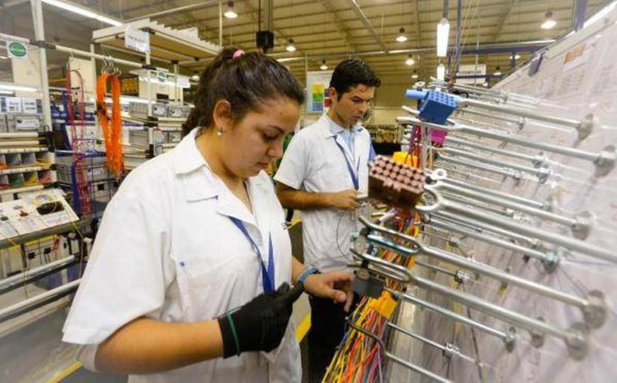 WhatsApp Image 2019 08 12 at 12.38.24