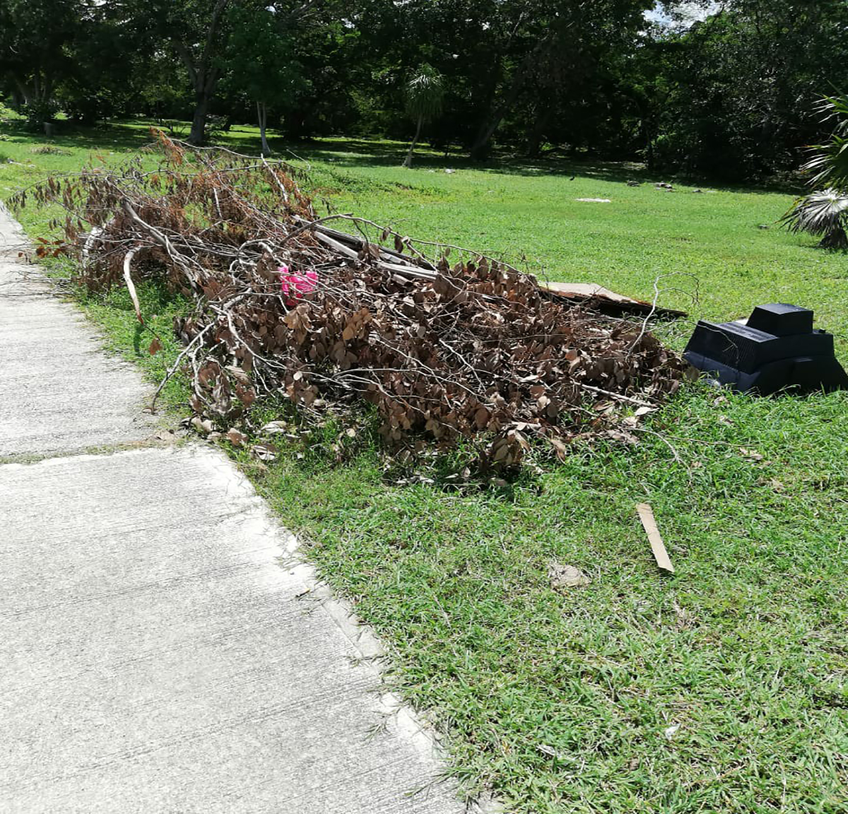 WhatsApp Image 2019 08 21 at 12.11.54