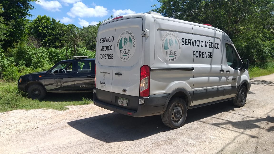 WhatsApp Image 2019 08 26 at 14.10.49 (1)