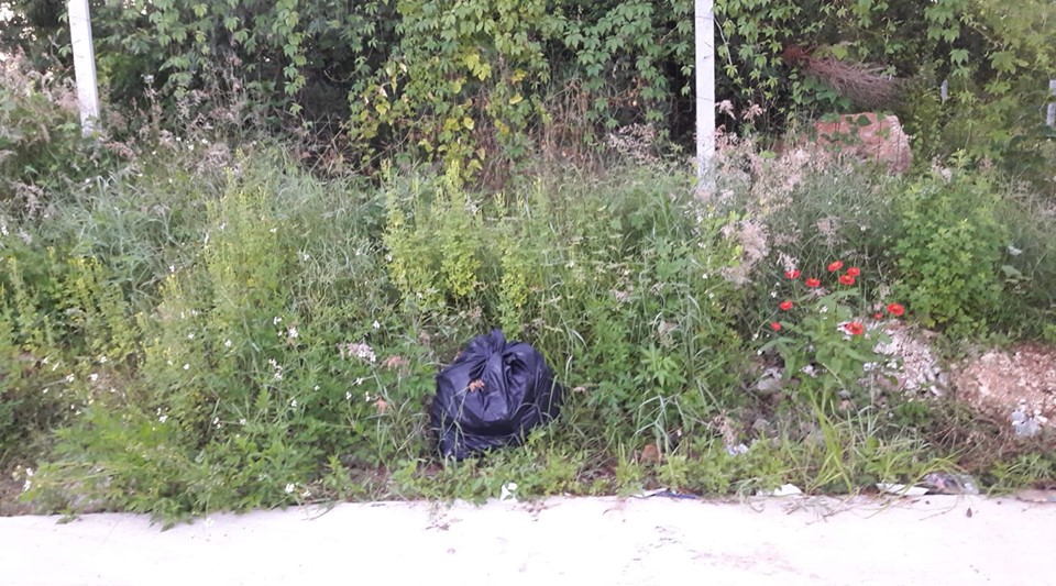 69602038 131656074818358 8022080077984432128 n