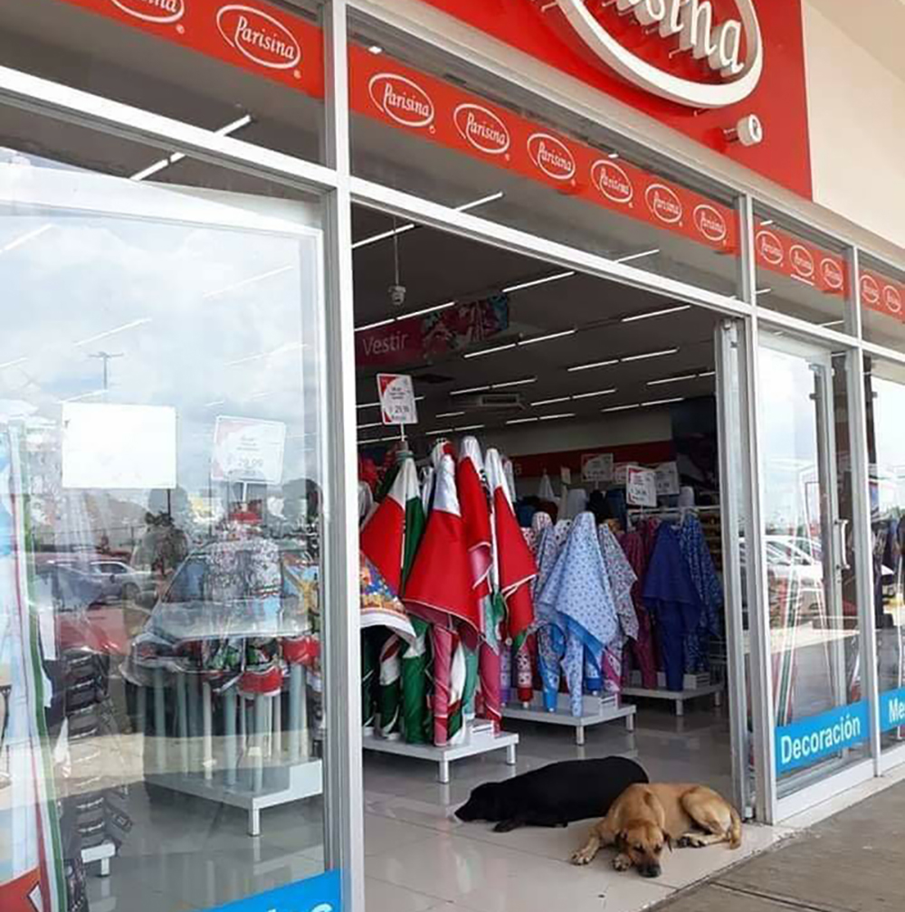 WhatsApp Image 2019 09 03 at 10.47.51