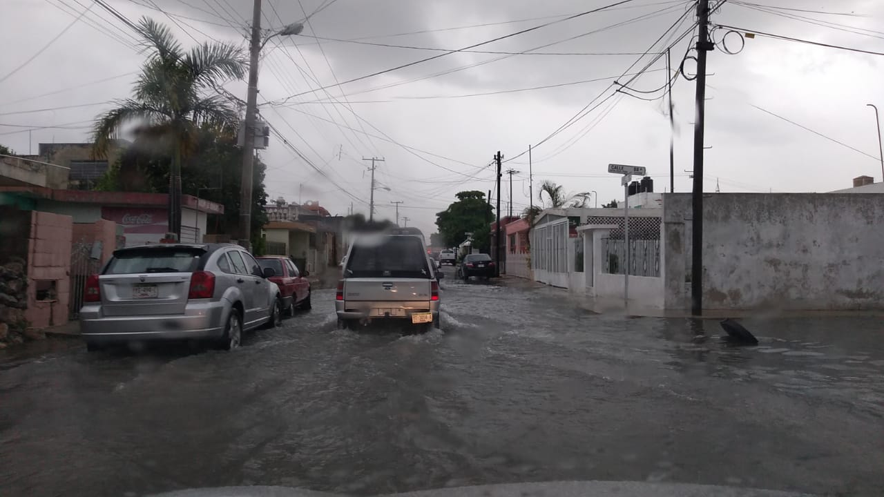 WhatsApp Image 2019 09 13 at 21.26.18